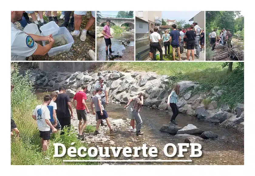 decouverte ofb jeunes et adultes explorant la nature observa