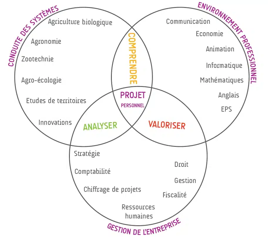 diagramme de venn conduite des systemes environnement profes