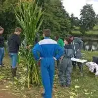 eleves en tenue de travail autour d une recolte de mais mfr