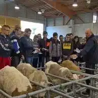 eleves et formateur mfr rhone observent des veaux dans un en