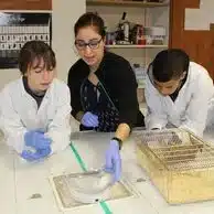enseignante et deux eleves en blouse blanche travaillent dan