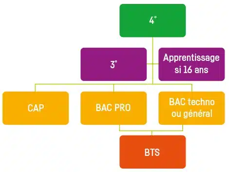 organigramme des formations mfr 4 3 apprentissage cap bac pr