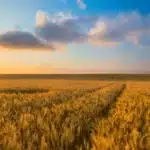 BTSA ACS’AGRI