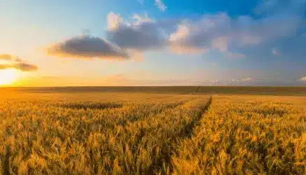 BTSA ACS’AGRI